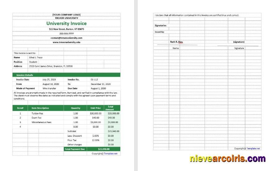 Blank University Invoice